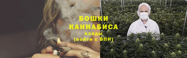 хмурый Богородск