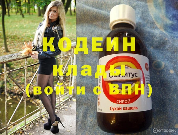 хмурый Богородск