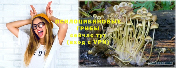 хмурый Богородск