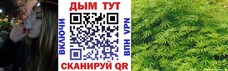 Канабис гибрид  цены   Мегион 